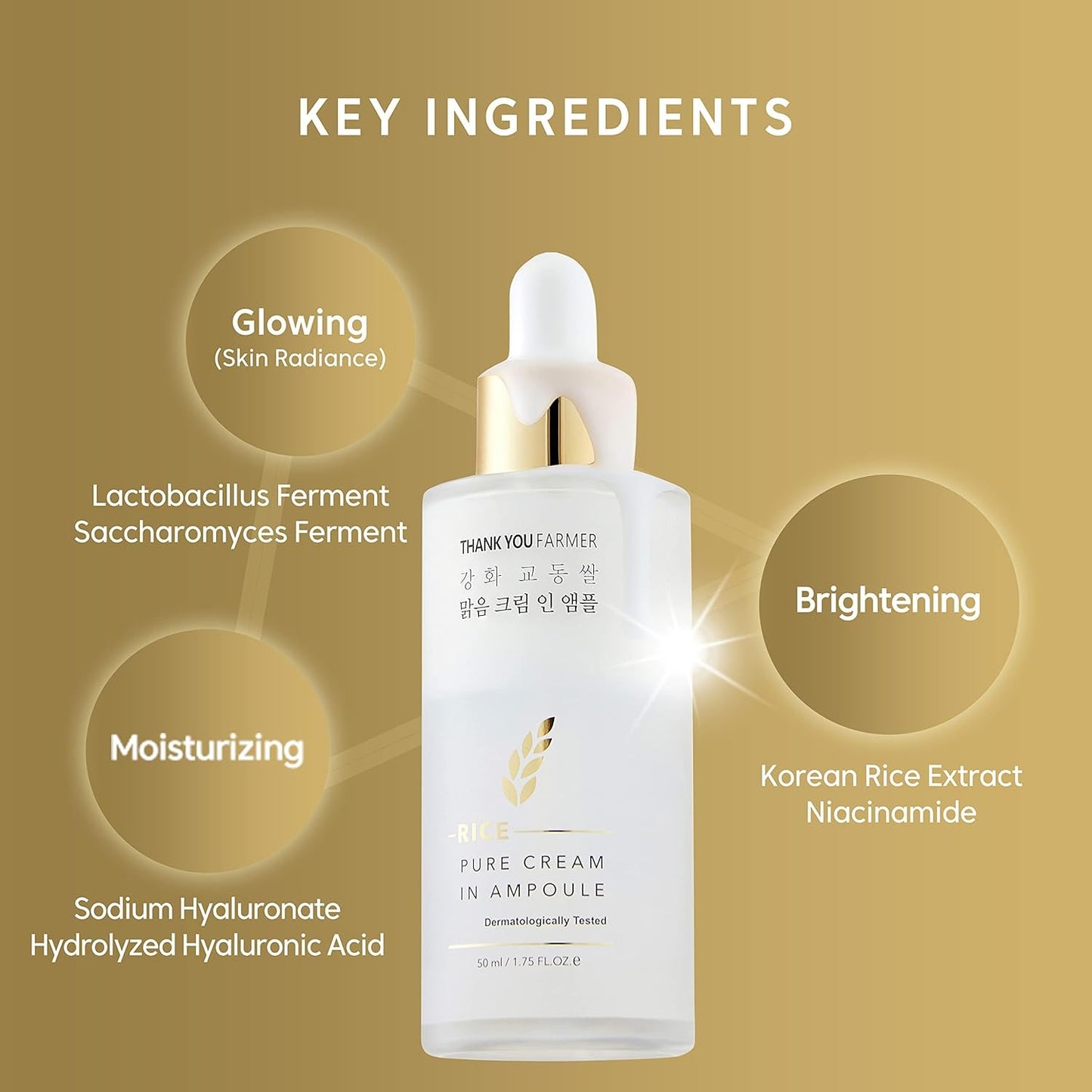 THANKYOU FARMER Rice Pure Cream In Ampoule (50ml) Brightening Rice Face Serum, Deep Hydration & Glow Enhancing Cream Serum for All Skin Types, Moisture Locking & Brightening Serum