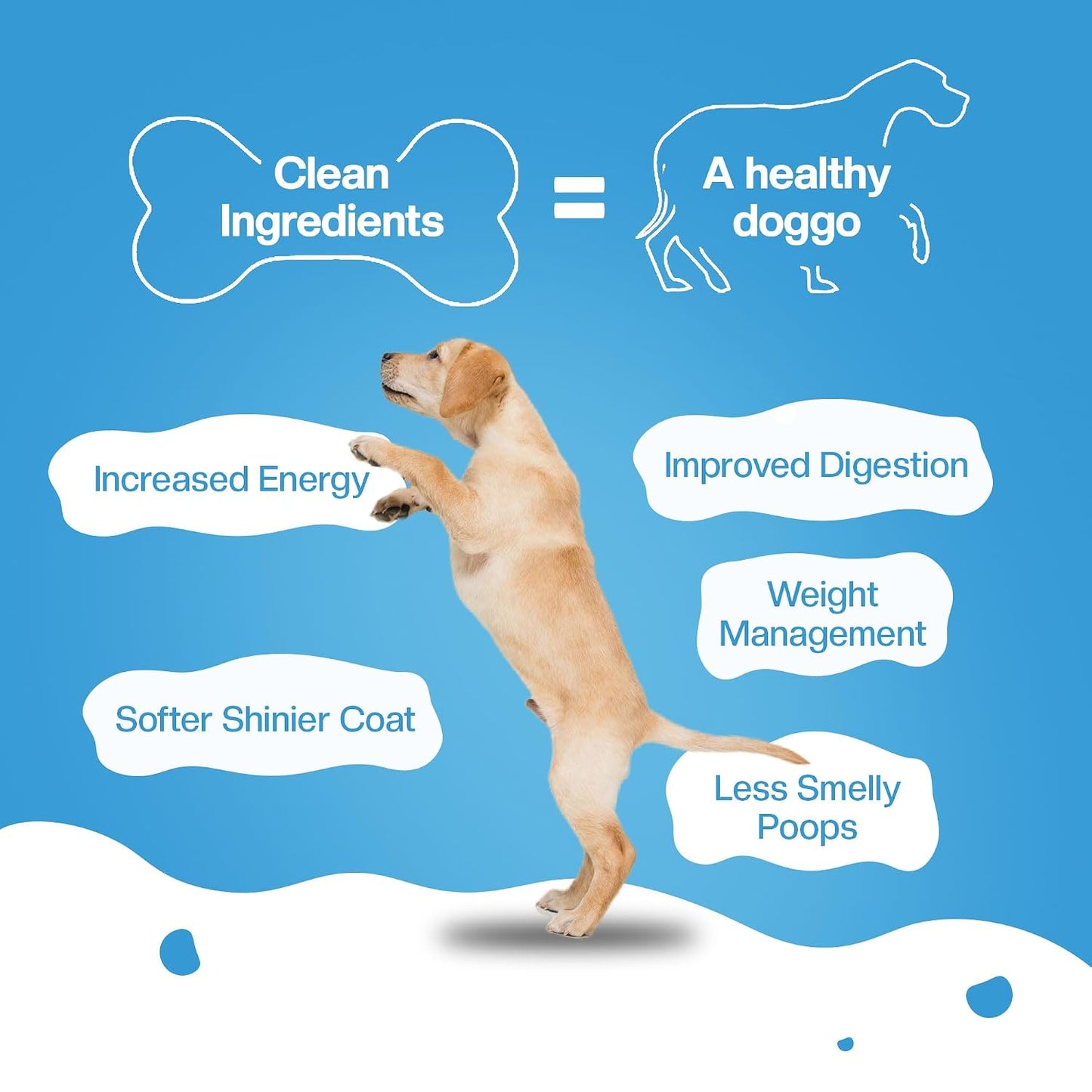 BLEP Dog Food Adult & Puppy | 300g | Dog Wet Food, High Protein, Omega 3&6, Contains Chicken Breast, Egg, Zucchini, Vegetables, Zero Preservatives, Digestible, Human Grade Fresh (Pack of 1)