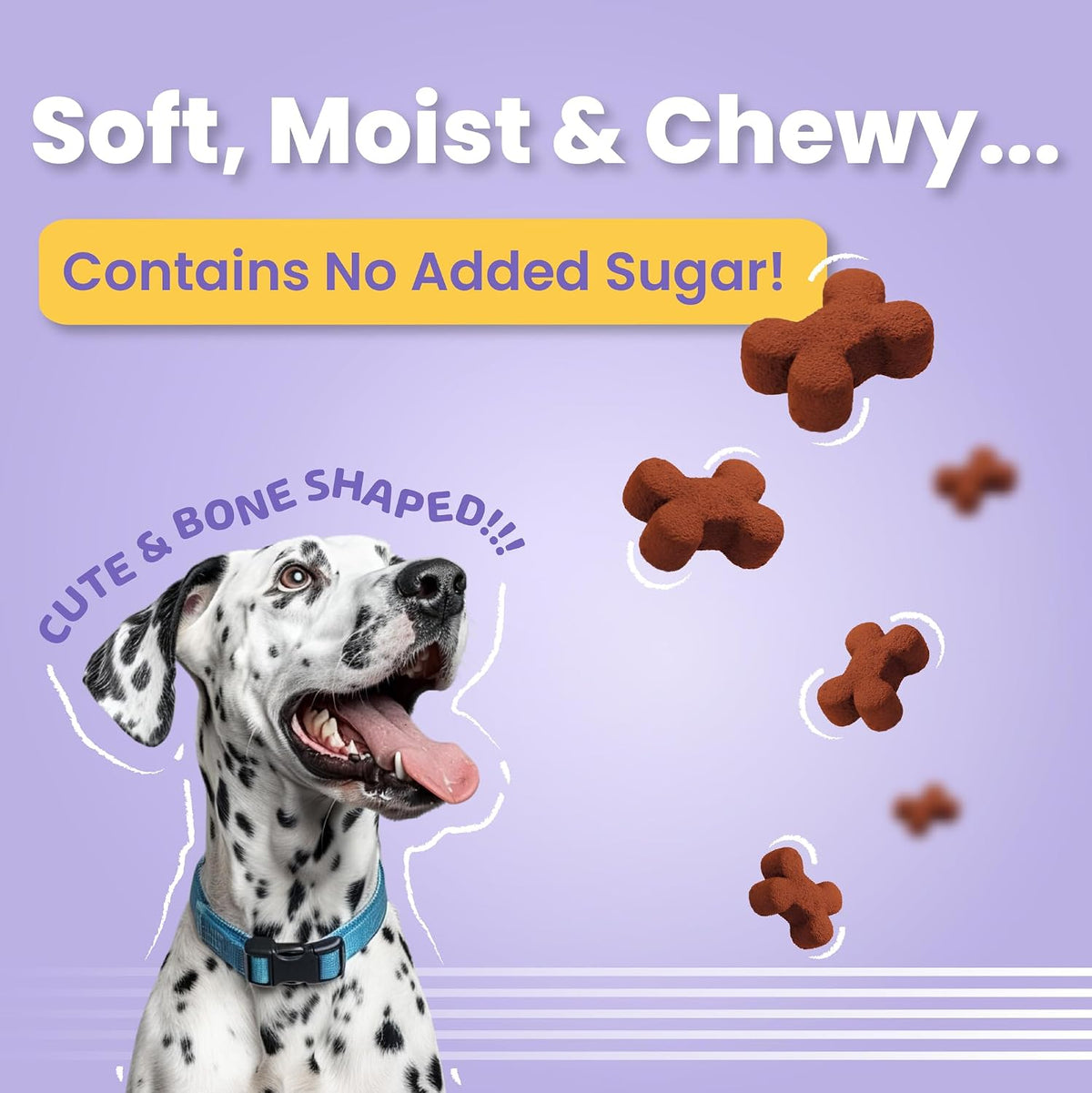 BARK OUT LOUD - Coatiez Soft Chews DogTreats | Fresh Chicken, No Sugar | -Salmon Oil Omega Fatty Acids | Prebiotics, Vitamins & Minerals - 100 GMS