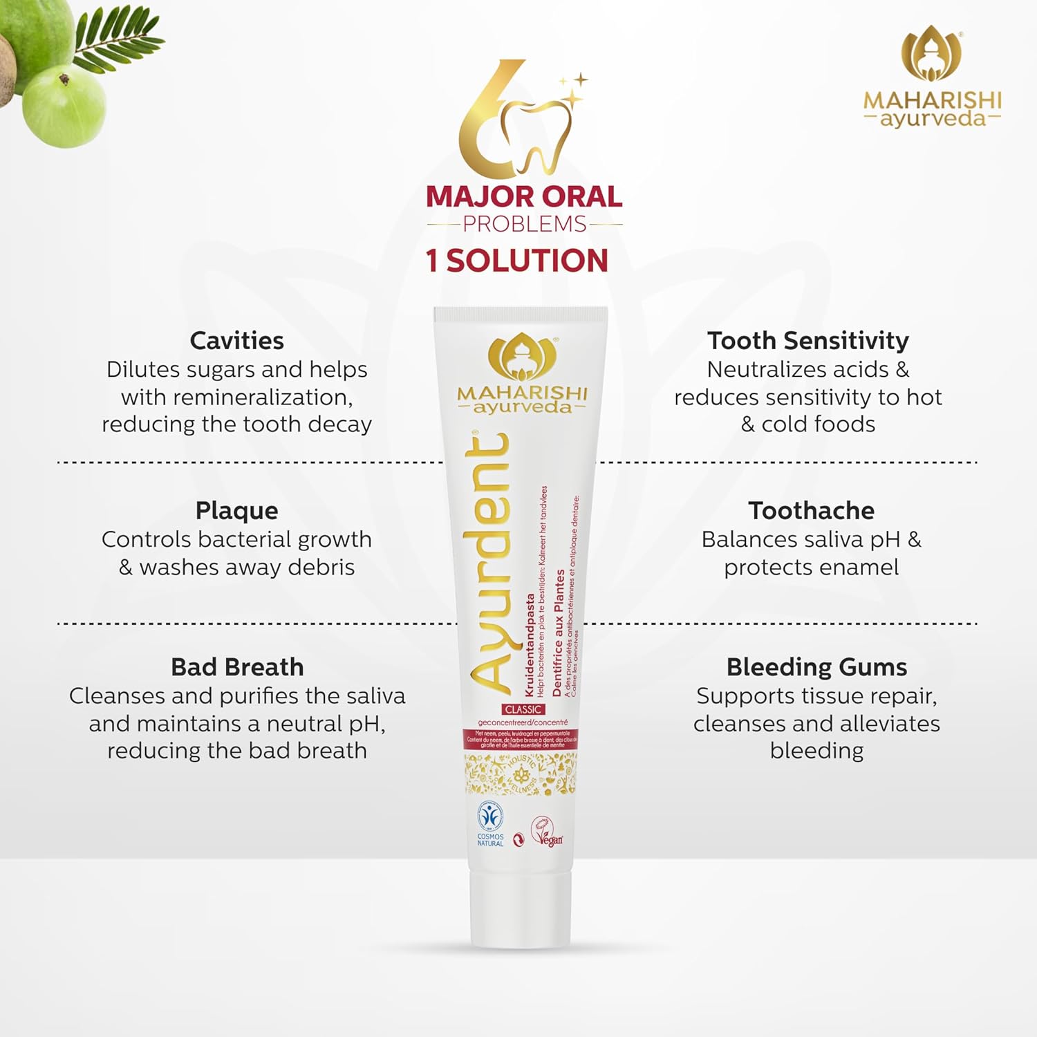 Zephivo Maharishi Ayurveda Ayurdent Toothpaste, Unique Saliva Balancing Formula, for Toothache, Bleeding Gums, Sensitivity, Cavities, Plaque & Bad breath, Non Foaming, No SLS & Fluoride
