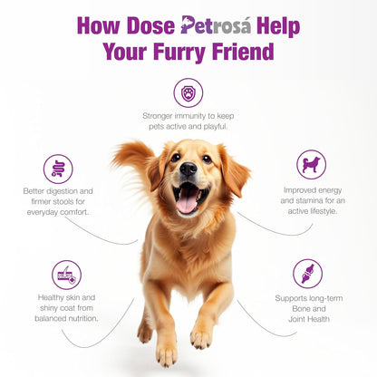 Petrosa Small Breed Adult Dry Dog Food (10 Months & Above), 800 gm, 28% Protein, DHA & Prebiotics, Joint Health & Digestion