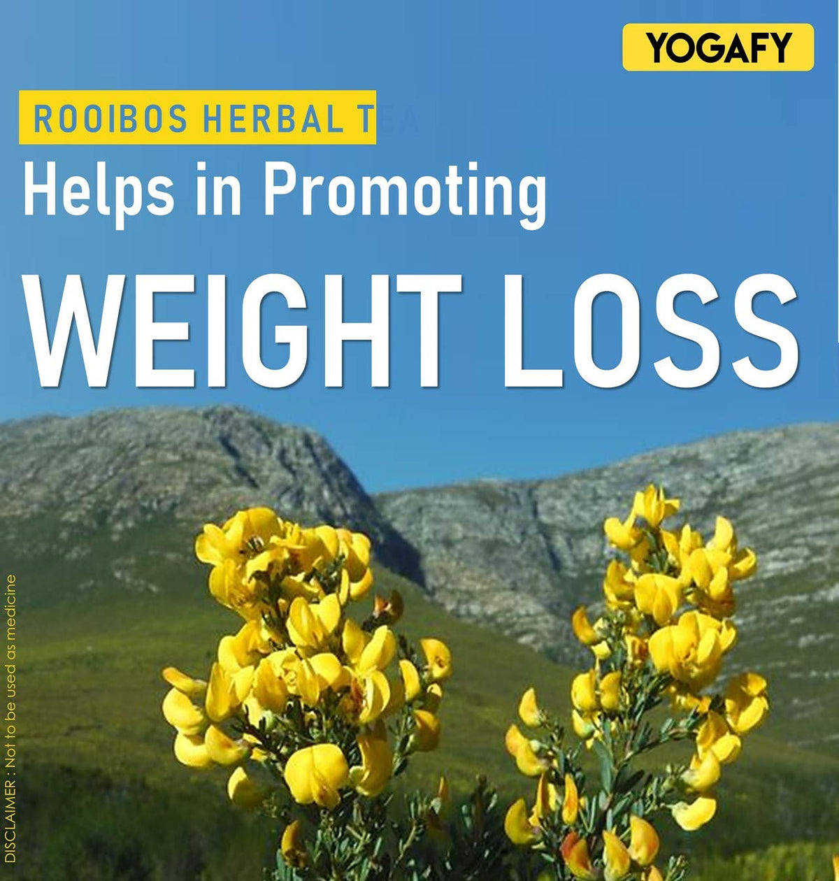YOGAFY- Rooibos Herbal Tea - 100g Pack || ANTI-INFLAMMATORY || Caffeine-Free - 100% | Natural Ingredients - Flower Based - Farm Fresh | Eco-Conscious Pet Jar Packaging