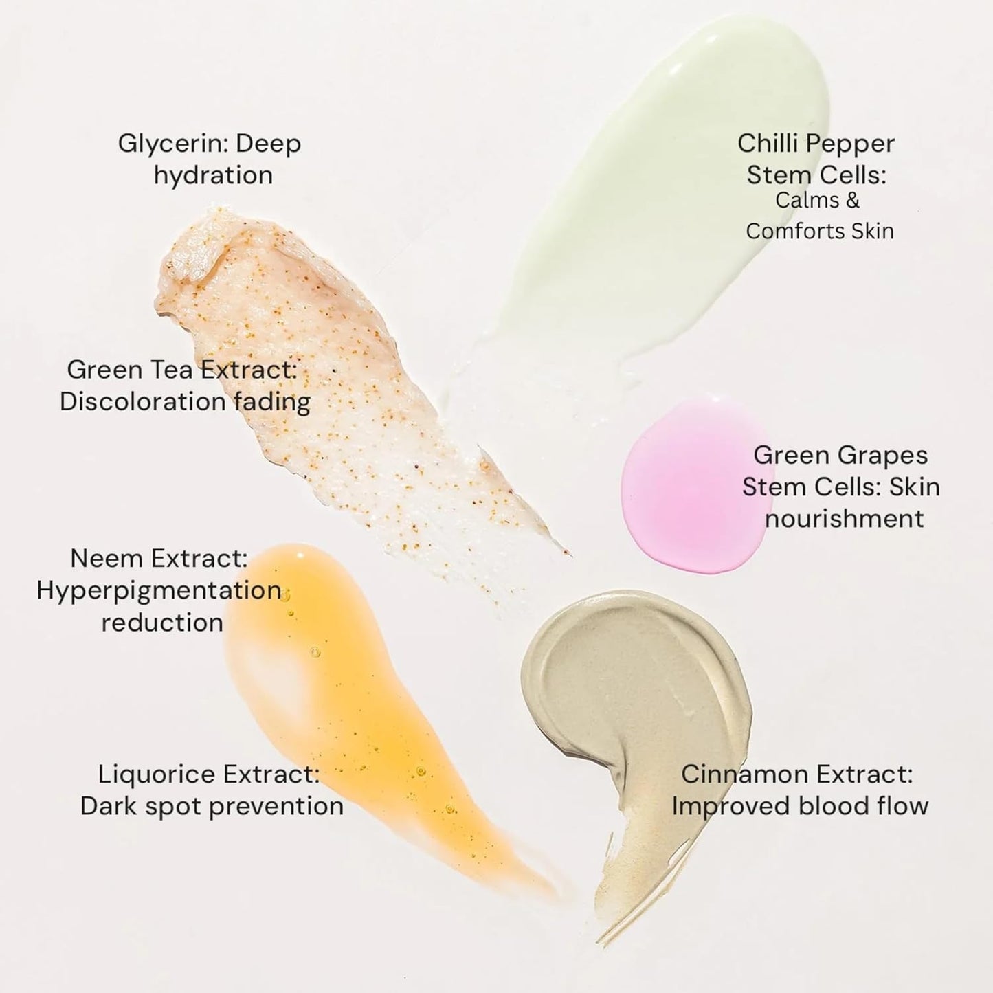 Raaga Professional Stem Cells Infused Anti Acne Facial Kit | Cinnamon, Green Grapes, Chilli Pepper Stem Cells | 6 Step Facial Kit for All Skin Types (61 gm)