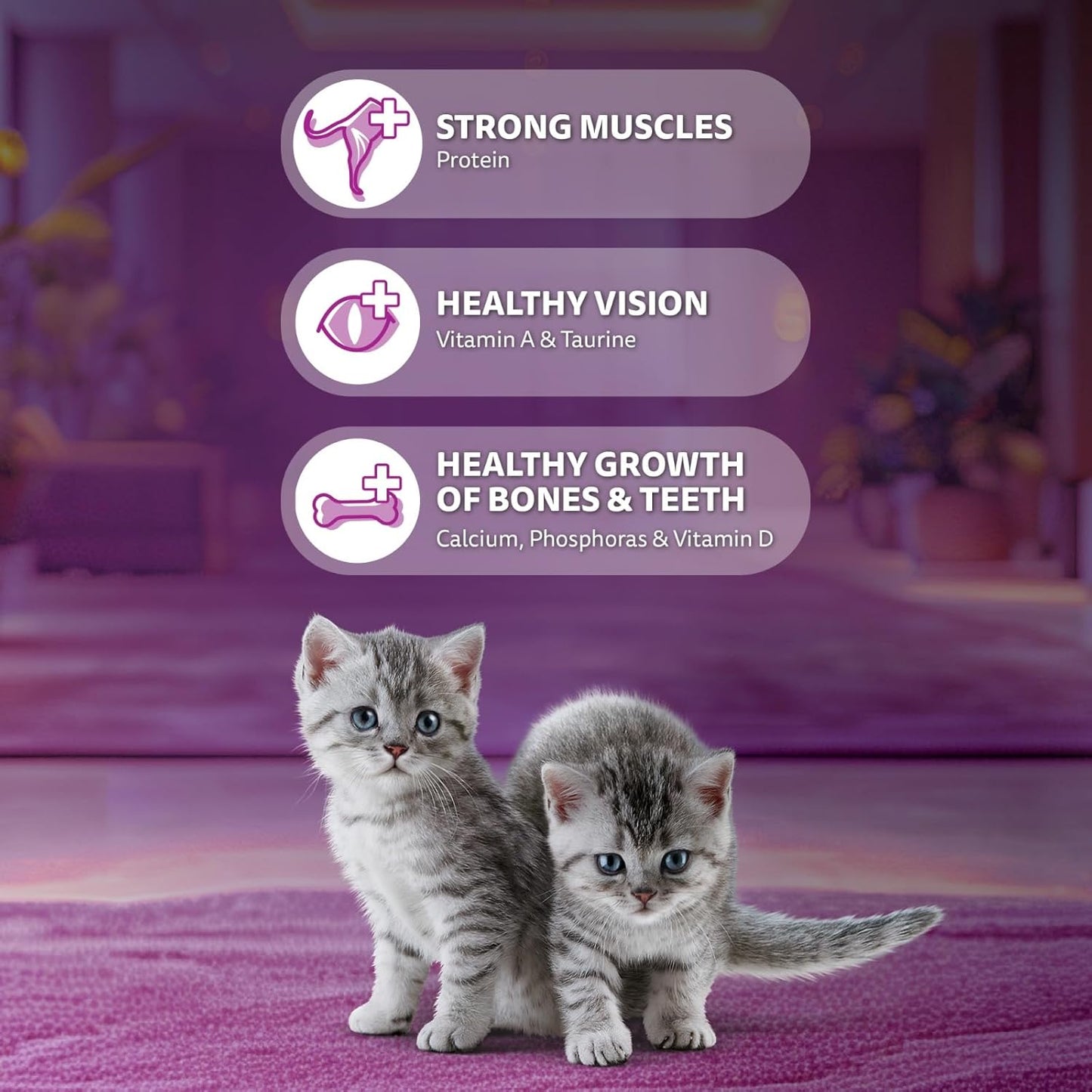 Whiskas Junior Mother Cat & Kitten (2-12 Months) Dry Cat Food, Mackerel Fish Flavour, 1.1 kg, Contains 41 Essential Nutrients, Complete & Balanced Nutrition for Mother Cats & Kittens