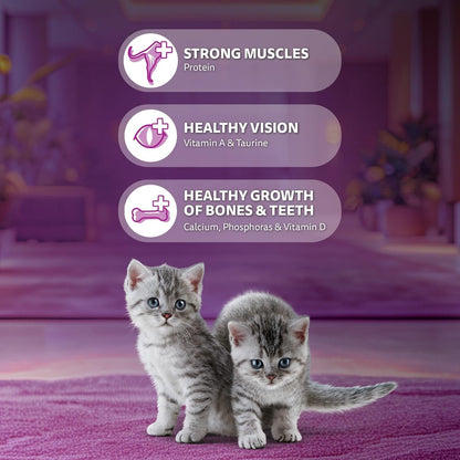 Whiskas Junior Mother Cat & Kitten (2-12 Months) Dry Cat Food, Mackerel Fish Flavour, 1.1 kg, Contains 41 Essential Nutrients, Complete & Balanced Nutrition for Mother Cats & Kittens