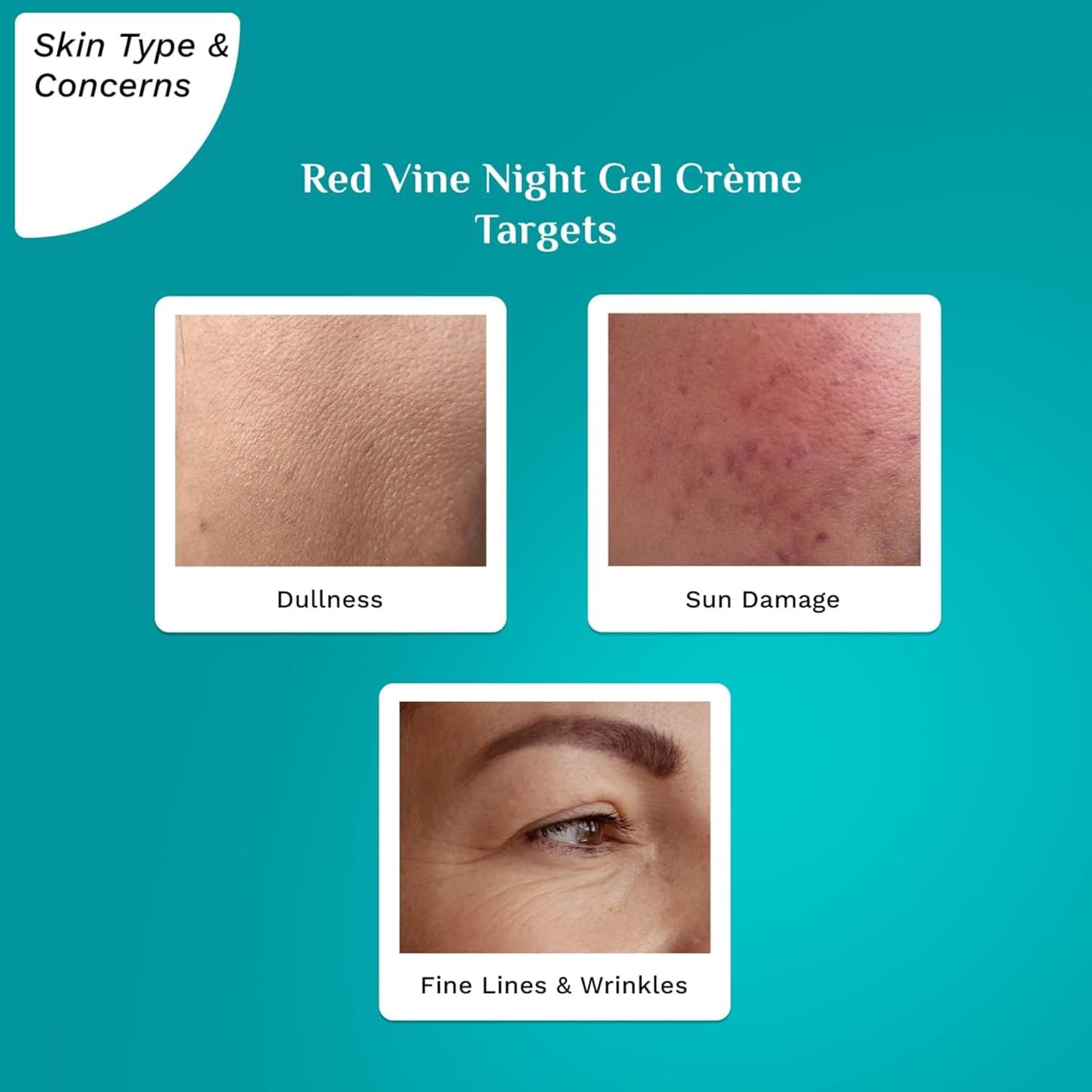 PILGRIM French Red Vine Anti Aging Night Cream for women with Retinol, Mulberry & Vitamin C For Glowing Skin & Skin Repair| Retinol Night cream for oily, dry & sensitive skin|Anti aging cream| For Women and Men I 50g