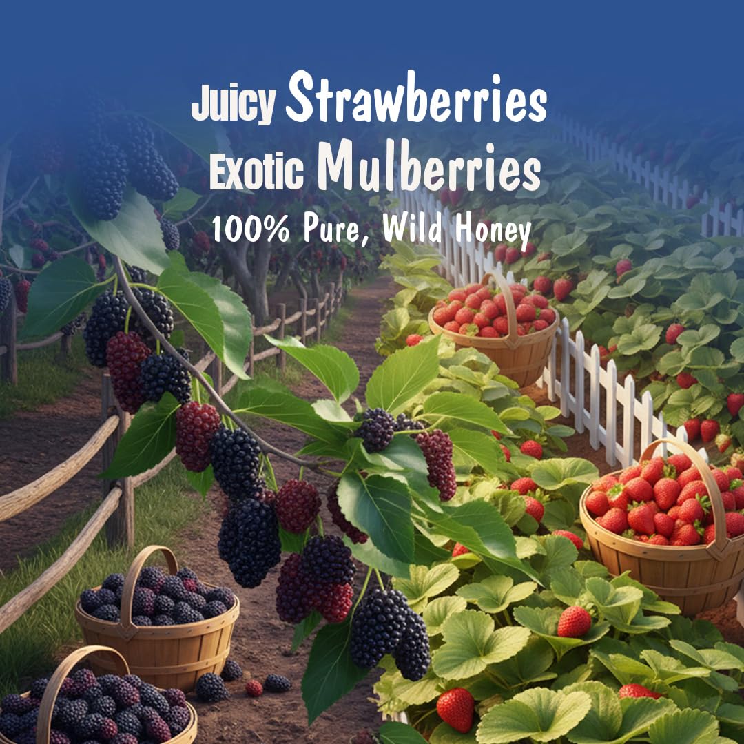 Eatopia Mixed Berry Honey Jam, 70% Berries, Pack Of 1 (240g)