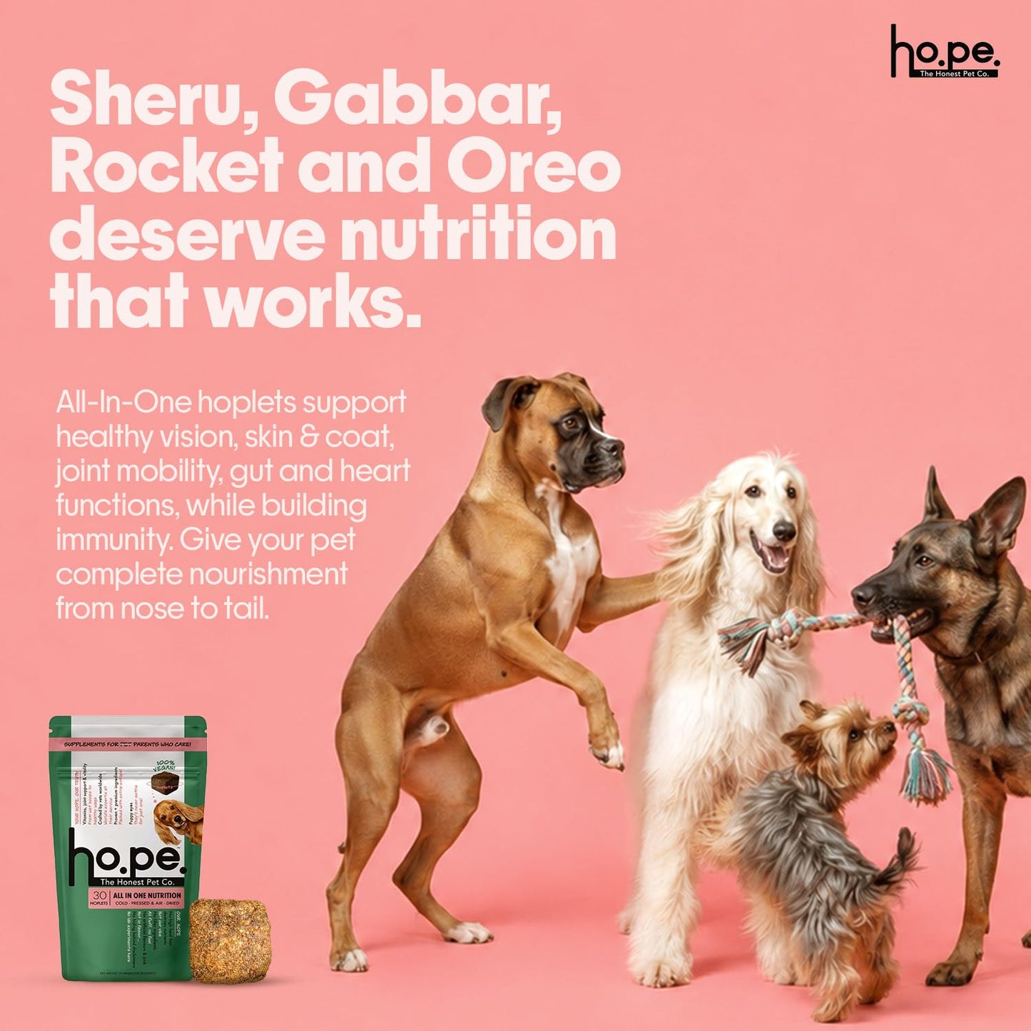 Hope All in One 14-in-1 Supplement Chews for Dog 30 Vegan hoplets |Multivitamins, Joint Support, Probiotics, Biotin, Omega 3 & 6| Pet Chews for Absolute Wellness | ColdPressed, Hypoallergenic