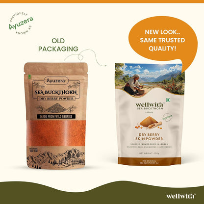 Wellwith Himalayan Sea Buckthorn Dry Berry Kkin Powder, 100g | Rich in Omega 3, 6, 7, 9 | Collagen, Fiber, Omegas, Vitamin C, Vitamin E | Dry Sea Buckthorn Berry Powder (100, Grams)
