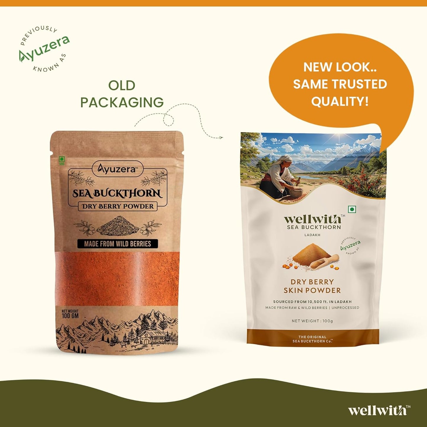 Wellwith by Ayuzera Sea buckthorn Berry Skin Powder 100g | Rich in Vitamin C | No oil | Edible | Fiber, Omegas | Dry Seabuckthorn Himalayan Berry Powder | Pack of 1