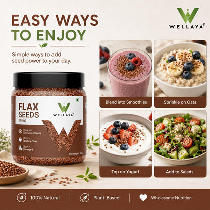 WELLAYA Flax Seeds - Alsi Seeds | Rich Protein Healthy Raw Seeds for Eating | Source of Iron & Dietary Fibre | Vegan Superfood for Wellness