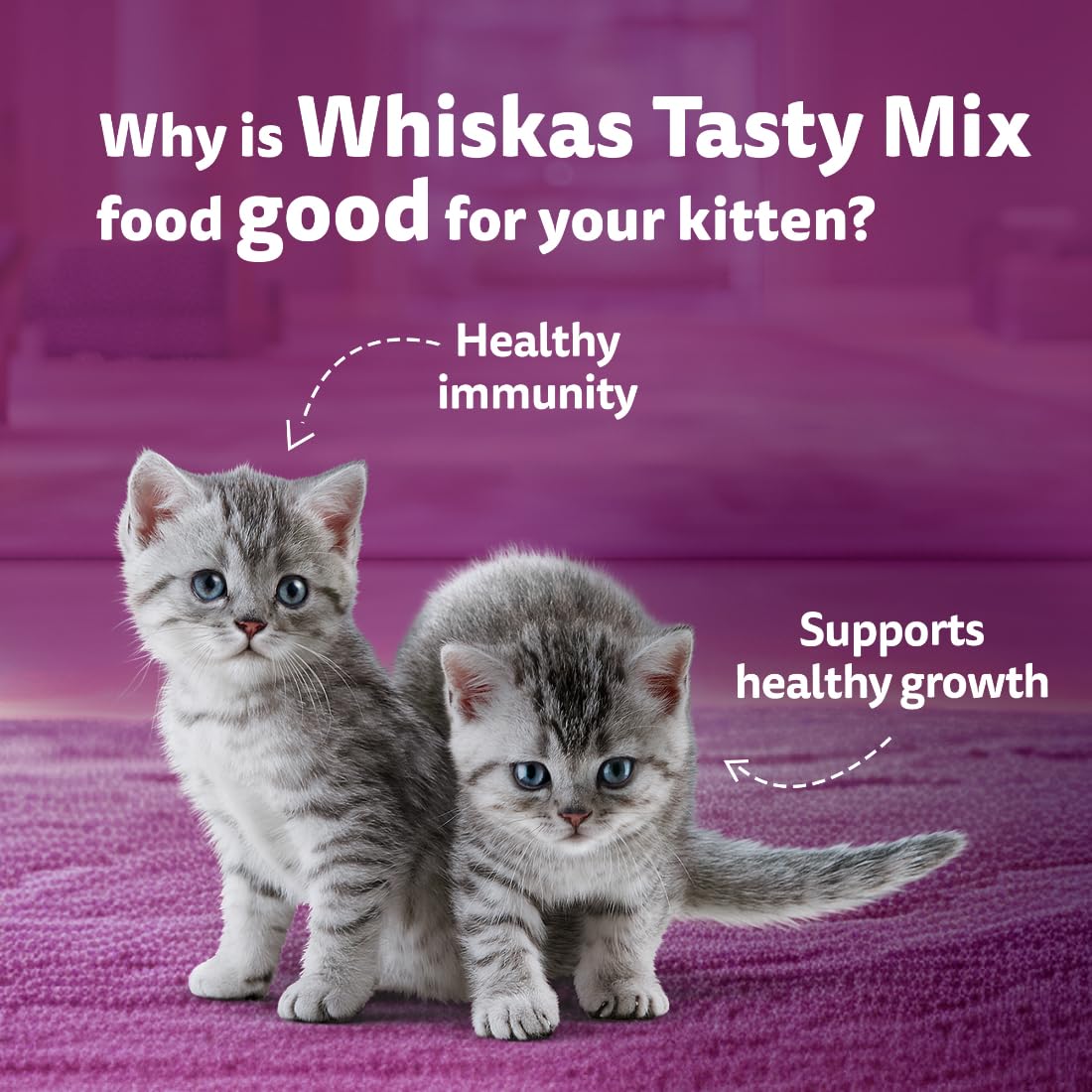 Whiskas Tasty Mix Kitten (2-12 Months) Wet Cat Food, Chicken, Tuna with Sweet Potato in Gravy, 70 g, 100% Complete & Balanced Nutrition for Kittens