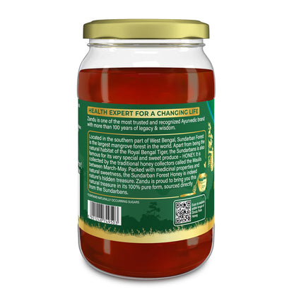 Zandu Sundarban Forest Honey I 100% Pure I Signature Taste & Fragrence Sourced From Dense Mangrove Forest I Rich in Pollent Count I Naturally Rich in Antioxidants, Glass Jar, 500g
