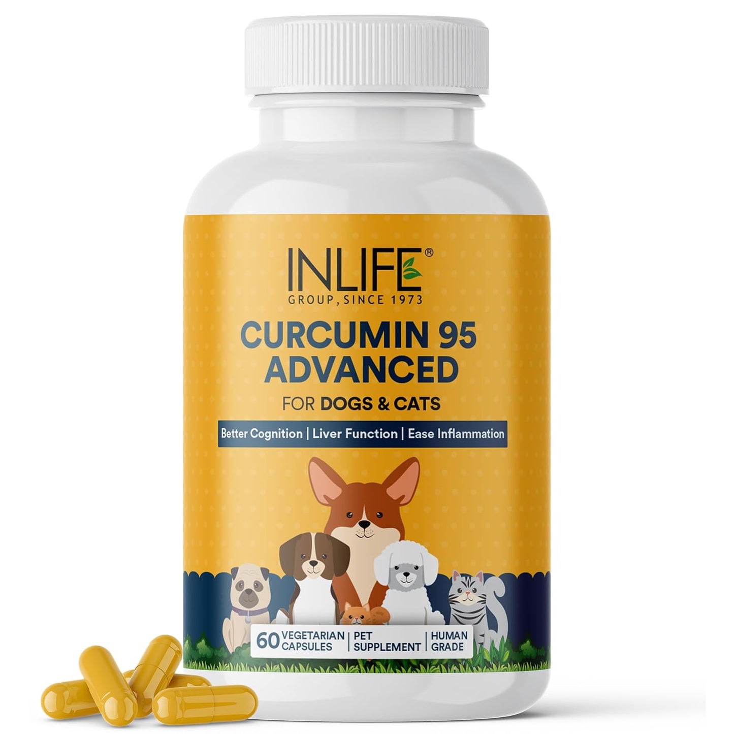 INLIFE Curcumin with Piperine for Dogs Cats and Pets 95% Curcuminoids for Immunity Liver Function and Ease Inflammation- 60 Vegetarian Capsules