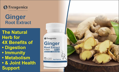 Trexegenics Ginger Root Extract supplement bottle with ginger roots on a wooden surface