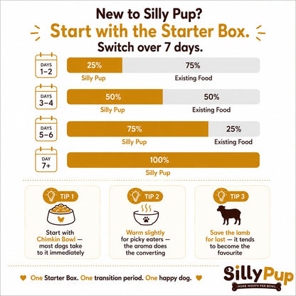 Silly Pup Chicken Dog Food | Gently Cooked Wet Food | Real Chicken, Pumpkin & Seeds | No Preservatives, No Sugar | Vet Crafted | High Protein | All Breeds & Age (1 Pouch (100g))