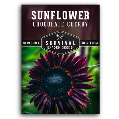 SURVIVAL GARDEN SEEDS 50+ SEEDS- Chocolate Cherry Sunflower Seed for Planting - Non-GMO Heirloom Variety
