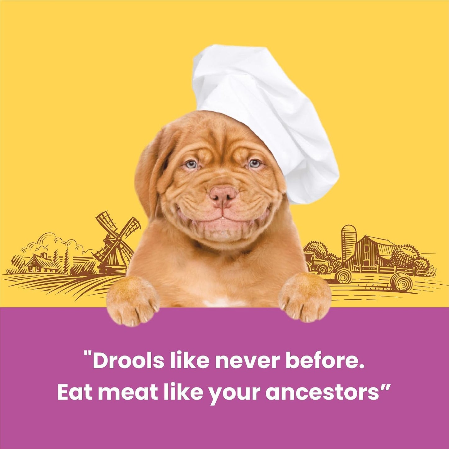 BarkButler x Dogfest Meaty Coins Treats for Dogs| Meat-First | Human Grade | Natural Ingredients | 0% Artificial Colours & Preservatives |Dog Treats for Adult Dog | 90g
