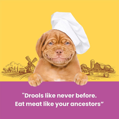 BarkButler x Dogfest Meaty Coins Treats for Dogs| Meat-First | Human Grade | Natural Ingredients | 0% Artificial Colours & Preservatives |Dog Treats for Adult Dog | 90g