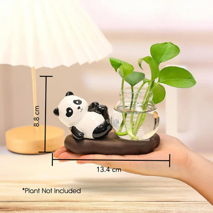 Nostrae Panda with Money Plant Planter Show Pieces for Home Decor | Cute Showpieces Gift Item for Decoration | Center Table Tv Showcase Shelf Office Interior Statue Figurines