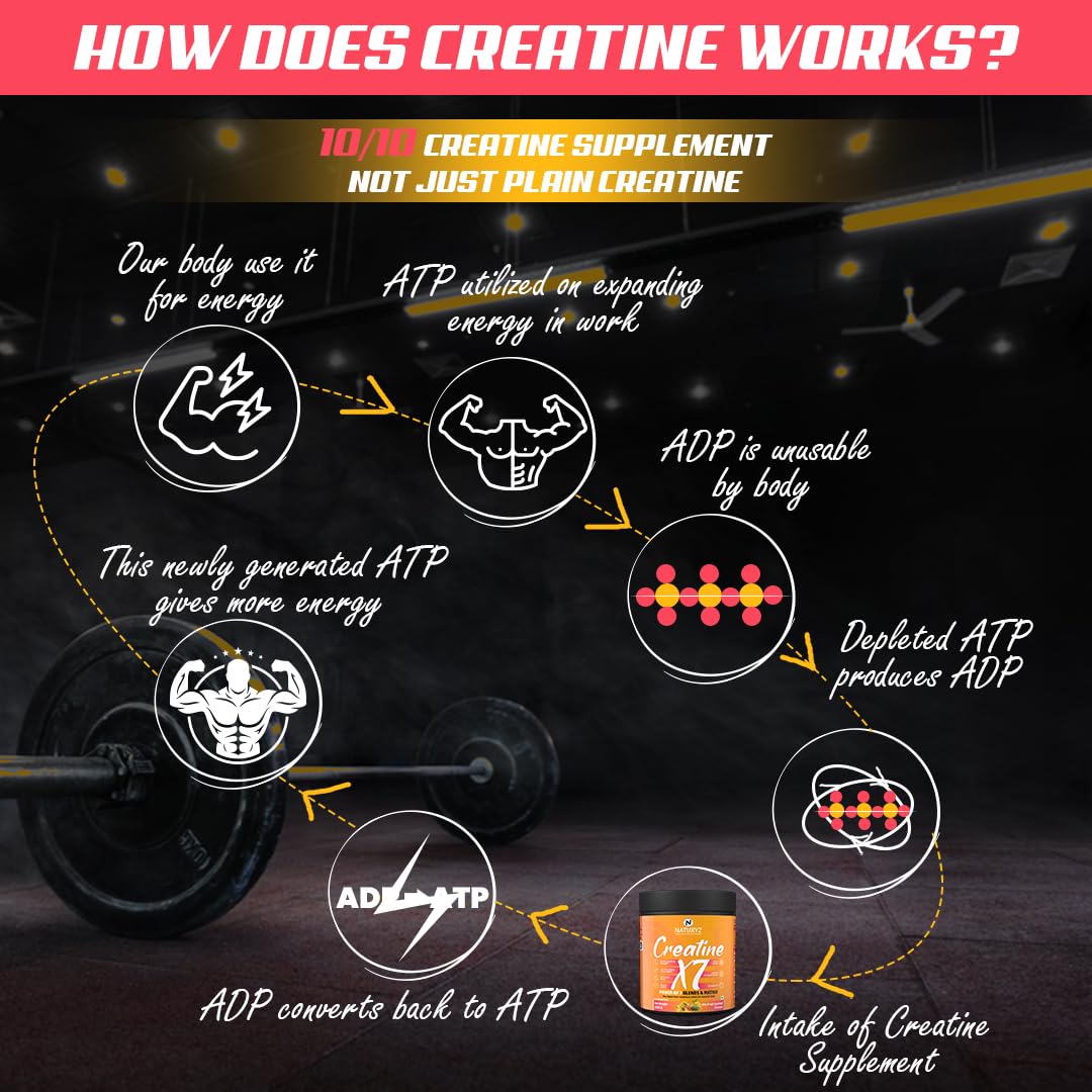 Diagram explaining how creatine works with a gym background