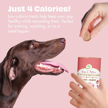 Pawfect Yogurt Melties Freeze Dried Pre and Probiotic Dog Treats with Strawberry, Apple, Papaya & Burdock Root - Healthy Gut- Low Calories- Grain & Gluten Free - Reward or Training Treats (38g/1.34oz)