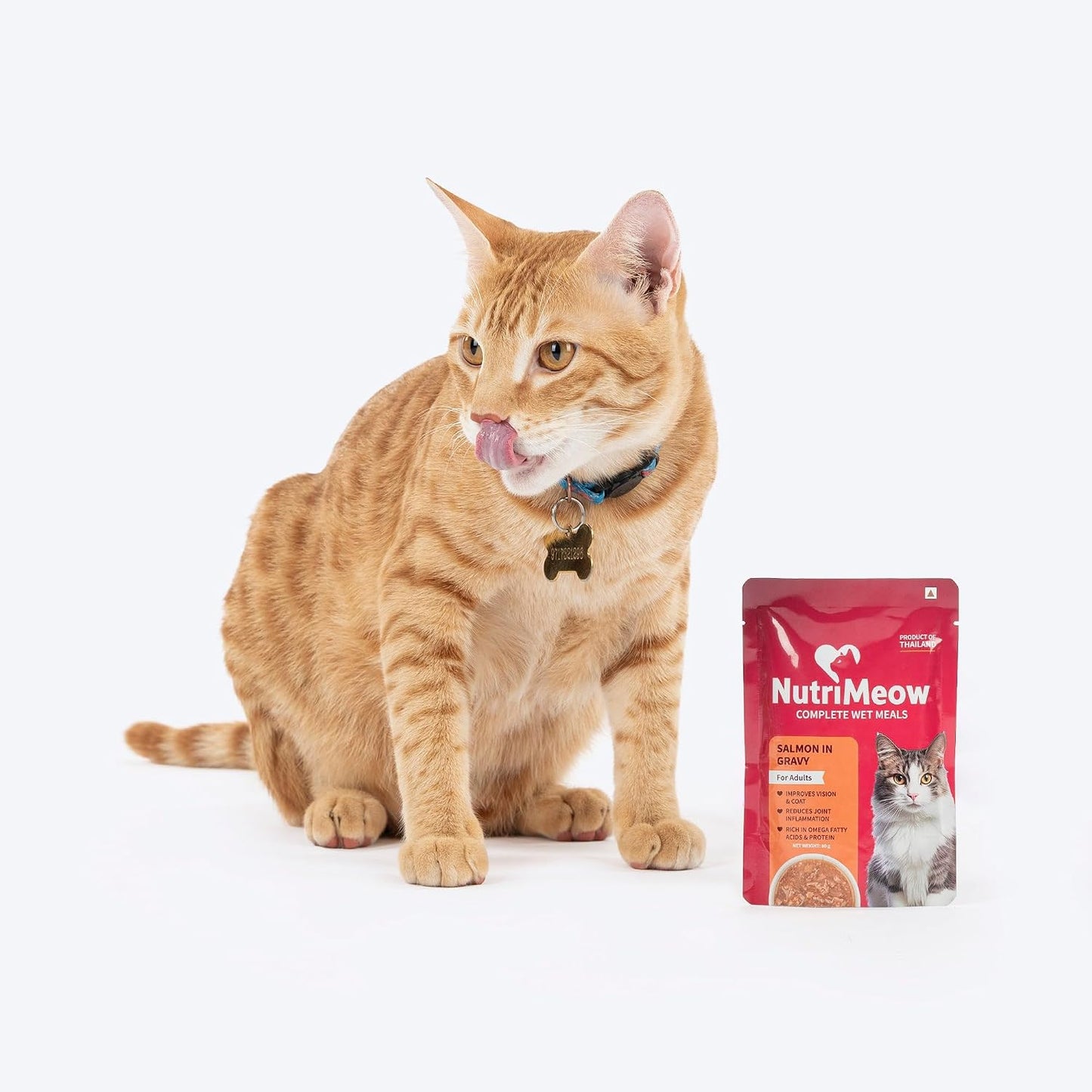 NutriMeow Salmon in Gravy Adult Cat Wet Food - 80gm | Delicious & Healthy Cat Pouch | Protein-Packed, Nutritious & Balanced Meal | Suitable for Persian Cats & All Breeds