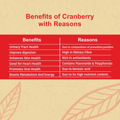 NUTTY ORGANICS Cranberry 180 GM | Dry Fruit & Berries | High in Nutrients & Antioxidants | Healthy & Nutritious Snack | Perfect for Salads & Baking