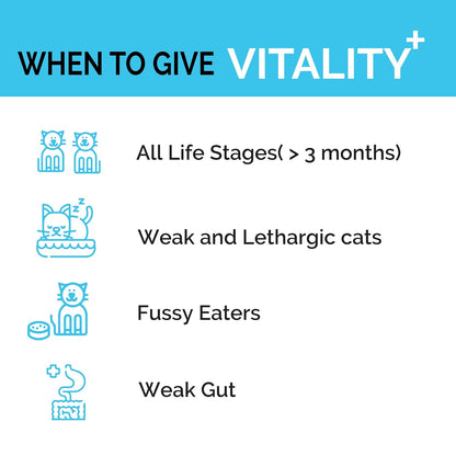 Goofy Tails Feline Vitality+(100Mlx1Pack) Liquid Immunity Booster for Cats, Cat Coat Supplement, Gut Supplement, Boosted with Curcuminoids, Ashwagandha, Prebiotics and Collagen for Cats