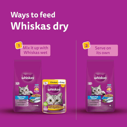 Whiskas Adult (1+ Years) Dry Cat Food, Ocean Fish Flavour, 1.2 kg, Contains 41 Essential Nutrients, Complete & Balanced Nutrition for Adult Cats