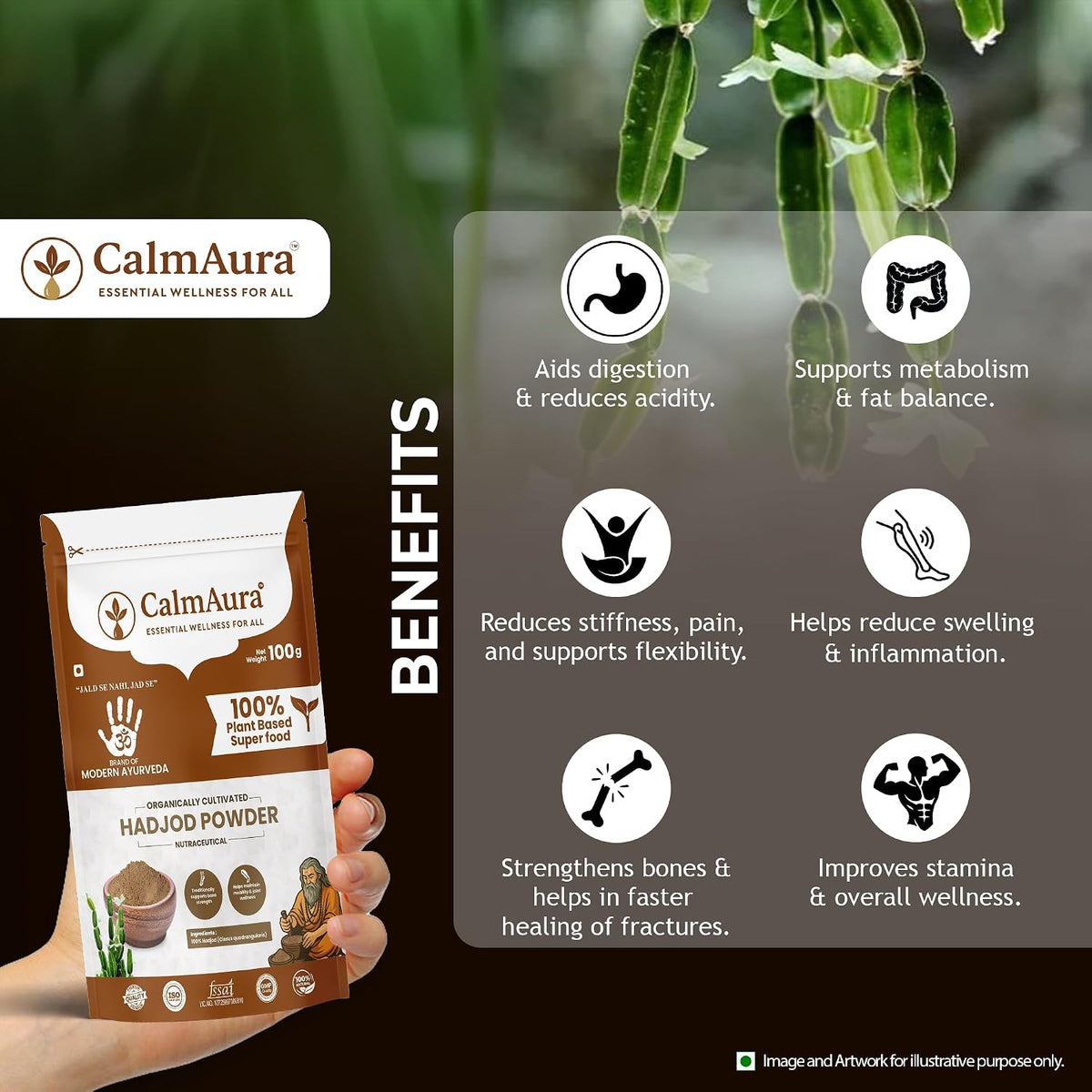 CalmAura Hadjod Powder Cissus Quadrangularis | Ayurvedic Bone Strength & Fracture Recovery Supplement | Joint Pain Relief & Ligament Support | Natural Calcium Herbal Powder 100g