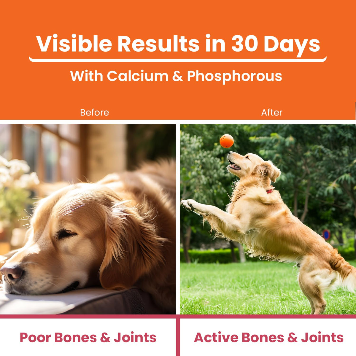 LICKICIOUS Bone & Joint Syrup for Dogs & Cats 200ml | Calcium, Minerals, Amino Acids & Vitamins for Stronger Bones, Cartilage & Muscles, Improved Mobility | Chicken Flavour Supplement/Tonic for Pets