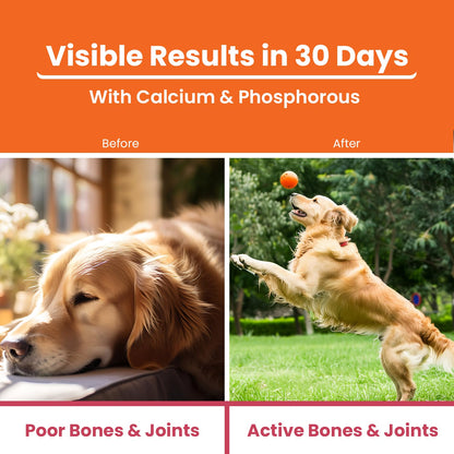 LICKICIOUS Bone & Joint Syrup for Dogs & Cats 200ml | Calcium, Minerals, Amino Acids & Vitamins for Stronger Bones, Cartilage & Muscles, Improved Mobility | Chicken Flavour Supplement/Tonic for Pets