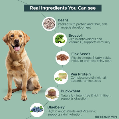 FURRMATE Fresh Wet Dog Food Veg & Nutritionally Complete NO-Fish Dish 100g | Dog Food for Sensitive stomachs | Human-Grade Ingredients | High-Protein Recipe for Active Dogs (1, NO-Fish Dish)