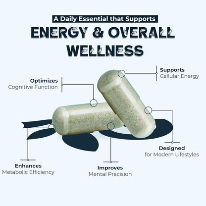 Vitamin B12 Supplement – 1000mcg Plant-Based Veg Capsules for Energy, Metabolism & Nerve Support | Boosts Vitality & Wellness | Supports Red Blood Cells | 60 Capsules