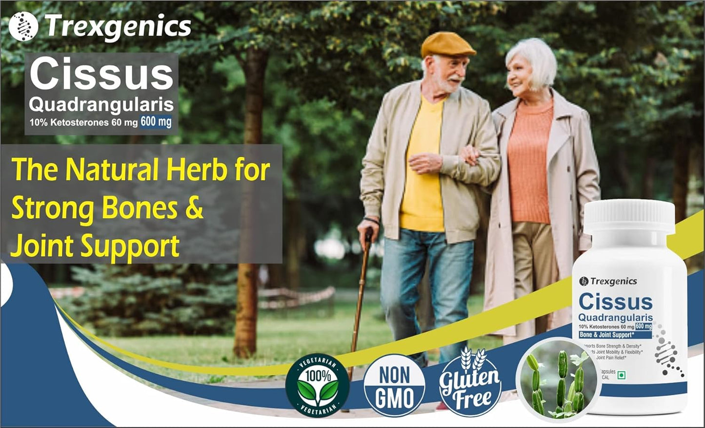 Trexgenics CISSUS QUADRANGULARIS Hadjod 10% Ketosterones 600 mg Joint Pain & Bone Density Support VEGAN & NON-GMO (60 Veg. Capsules) (Pack of 1)