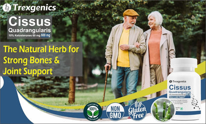 Trexgenics CISSUS QUADRANGULARIS Hadjod 10% Ketosterones 600 mg Joint Pain & Bone Density Support VEGAN & NON-GMO (60 Veg. Capsules) (Pack of 1)