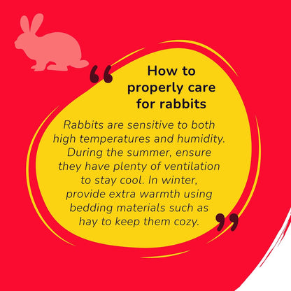 Petslife Premium Rabbit Food 1kg, High Protien Added with Fiber & Essential Nutrients Pellet Food, Balanced Nutrition Diet for Small & Adult Bunnies, Suitable for All Ages., Honey & Fruits Flavour