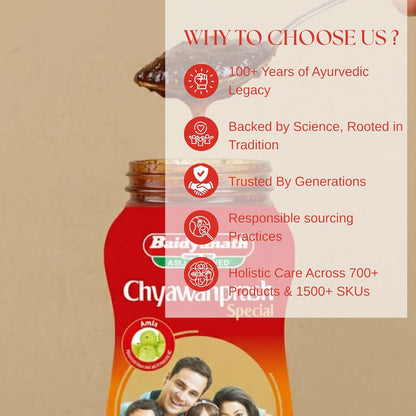 Baidyanath Jhansi Chyawanprash Special - 500g
