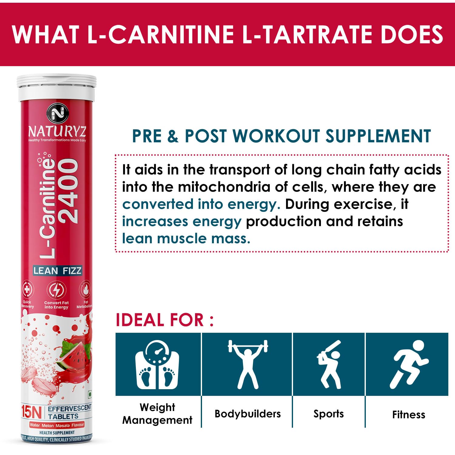 Naturyz L-Carnitine 2400 supplement tube with text about its benefits and uses.