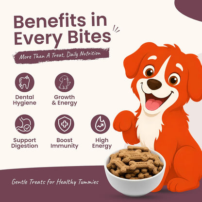 Nootie Chicken Puppy Biscuits - Chicken & Peanut Butter Flavoured Treats for Puppies | Protein-Rich, Highly Digestible & Nutritious | Suitable for All Breeds | 900g