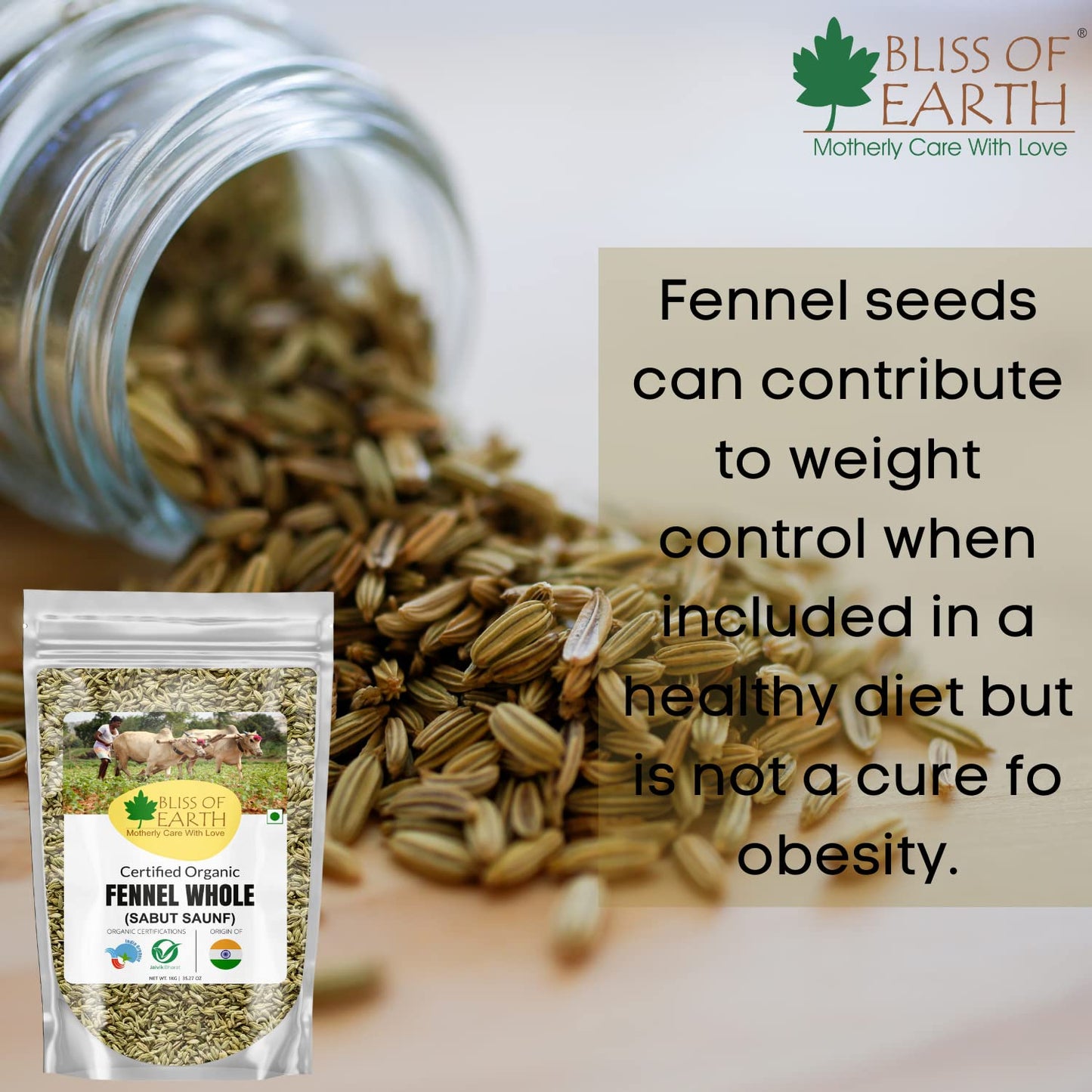 Bliss of Earth Certified Organic Fennel seed (Saunf) Indian Spice Fresh & Sweet Great for Weight loss | digestive health or Cooking (500gm)