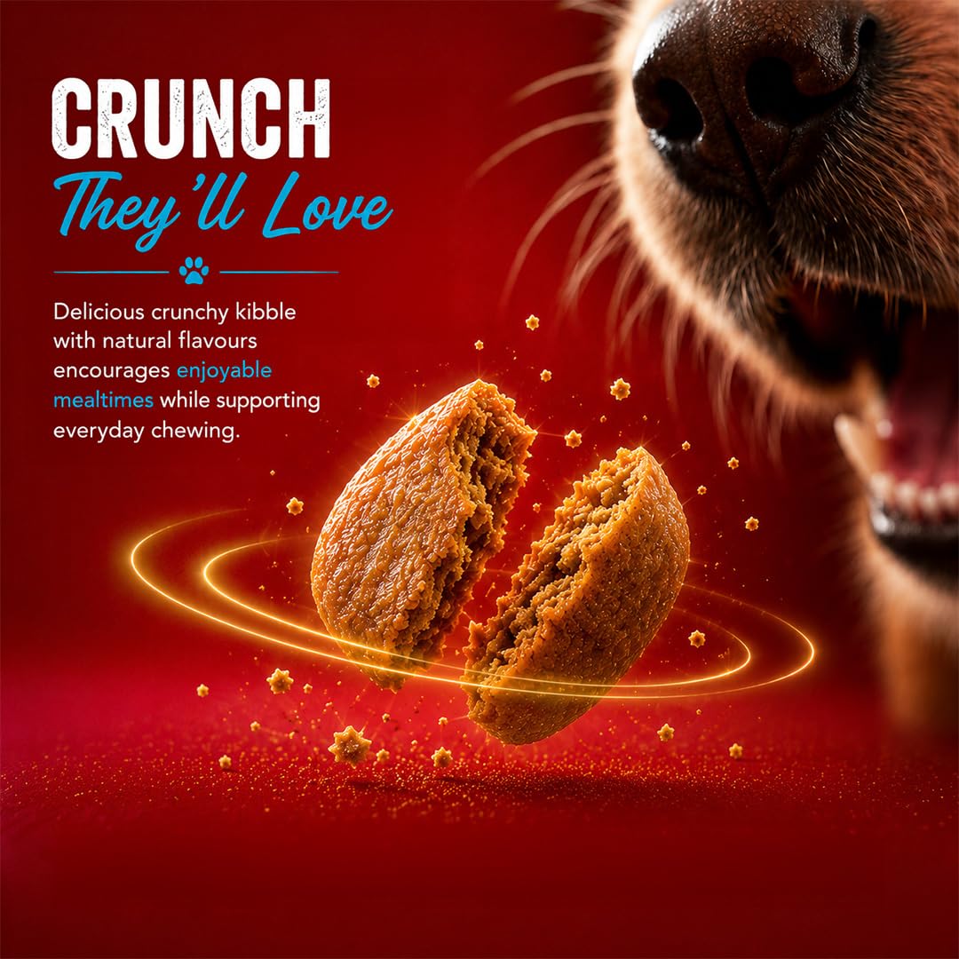 Drools Adult Dry Dog Food 1kg | Fish and Rice Flavour | Fish & Rice Formula | Gentle on Gut | Helps Maintain Strong Muscles and Vitality | Organic Chelated Minerals