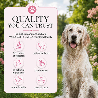 Whisker and Wilde Dog Skin and Coat Supplement | 460mg Omega-3 for Dogs | Coat Shine, Reduced Shedding, Dry Skin | Biotin, L-Methionine, Selenium, Zinc | Skin Actives | 300g