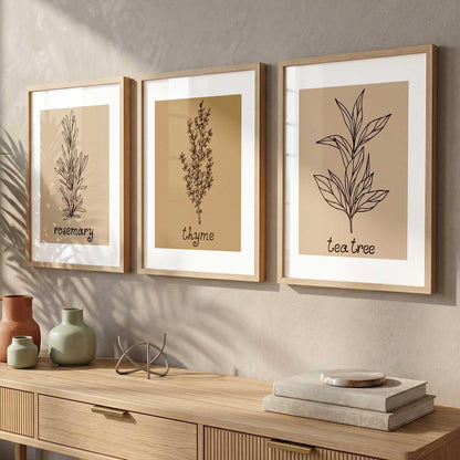 Botanical Wall Art Painting |Poster With Frame Wall Decoration Wall Paintings For Home Décor | Frames For Home Décor Office Living Room | Set of 3 (13X17 inch)