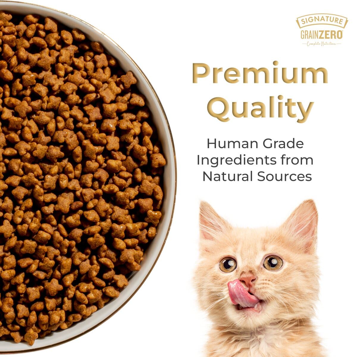 Grain Zero Adult Dry Cat Food 1.2kg | Ocean Fish, Sardine & Mackerel | 48% Fresh Fish Inclusion | Grain-Free & Gluten-Free | Promotes Healthy Skin & Coat | Suitable for All Breeds