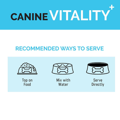 Goofy Tails Canine Vitality+ (100Mlx1Pack) Dog Immuity Booster, Dog Coat Supplement, Gut Supplement, Boosted with Curcuminoids, Ashwagandha, Prebiotics & Collagen for Dogs