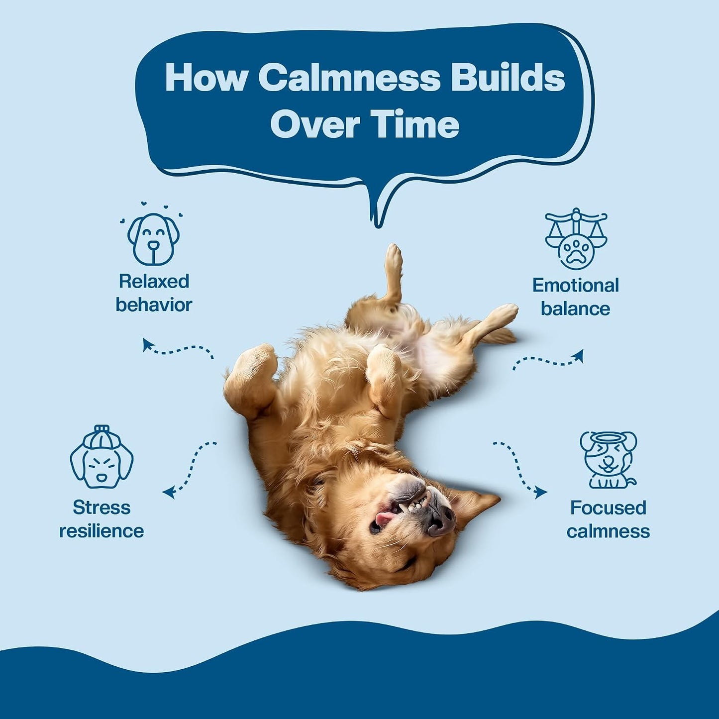 BLEP Super Stress Buster - Dog Calming Soft Chews Supplement, Anxiety, Fear, Restlessness & Separation | Ashwagandha, L-Theanine & Valerian | Fireworks, Travel & Vet Visits | 60g | Dog calming supplement with ashwagandha and L-theanine for anxiety relief