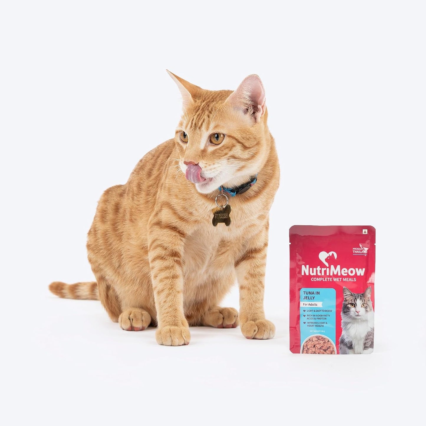 NutriMeow Tuna in Jelly Wet Food Pouch for Adult Cats - 80gm | High Protein, Nutritious & Tasty | Complete & Balanced Cat Meal | Healthy Food for Persian & All Breeds