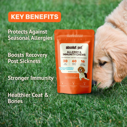 Absolut Pet Postbiotic Immunity Dog Chews, Allergy & Recovery | 30 Chews | Postbiotic chews that strengthen immunity, reduce allergies, aid recovery & improve nutrient absorption in dogs.